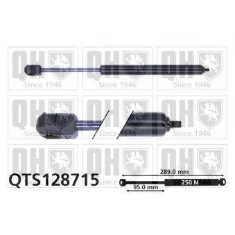Vérin, vitre arrière QUINTON HAZELL QTS128715