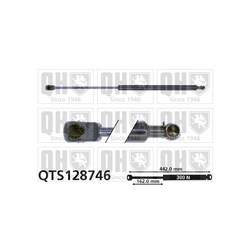 Vérin, capot-moteur QUINTON HAZELL QTS128746