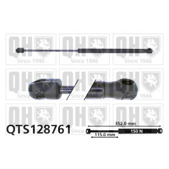 Vérin, vitre arrière QUINTON HAZELL QTS128761
