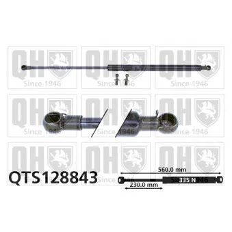 Vérin de hayon, de coffre QUINTON HAZELL