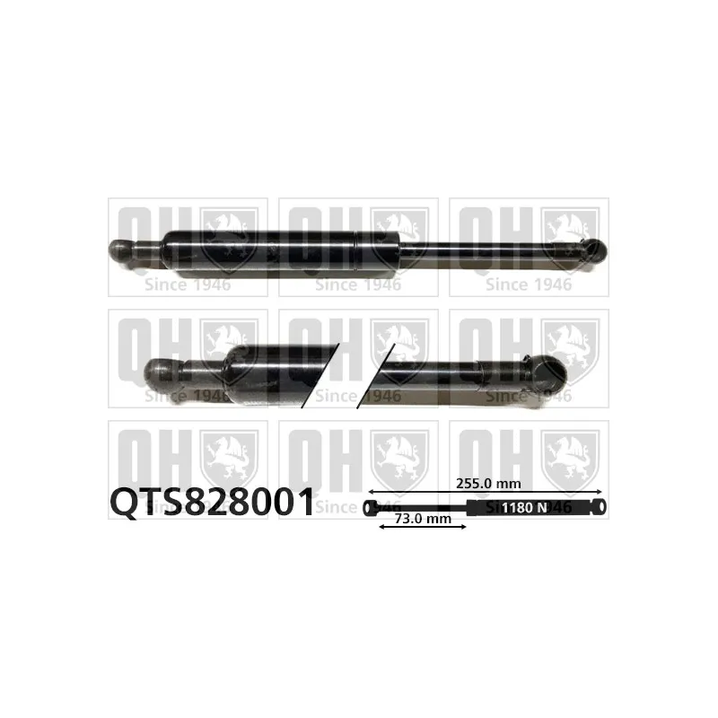 Vérin de hayon, de coffre QUINTON HAZELL QTS828001