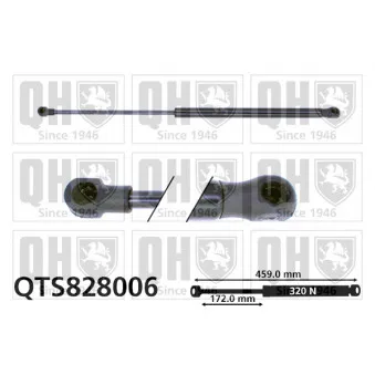 Vérin de hayon, de coffre QUINTON HAZELL QTS828006