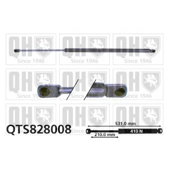 Vérin de hayon, de coffre QUINTON HAZELL QTS828008