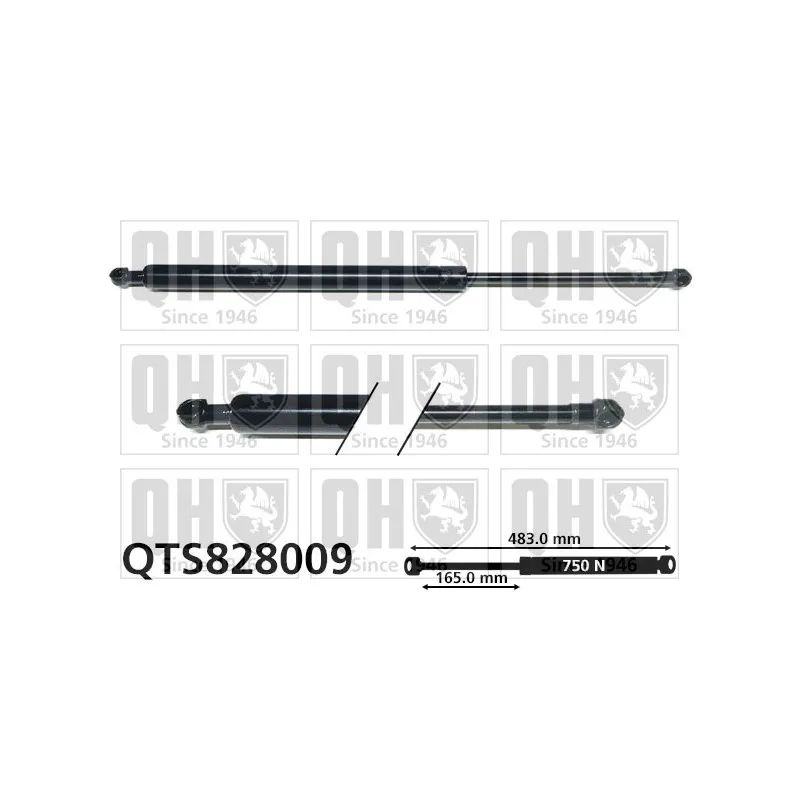 Vérin de hayon, de coffre QUINTON HAZELL QTS828009