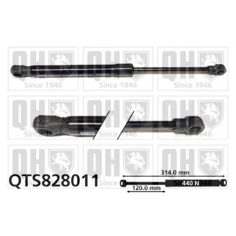 Vérin, capot-moteur QUINTON HAZELL QTS828011