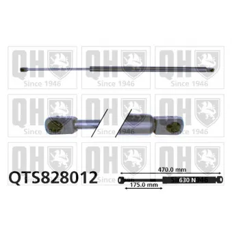 Vérin de hayon, de coffre QUINTON HAZELL QTS828012