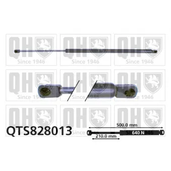 Vérin de hayon, de coffre QUINTON HAZELL QTS828013