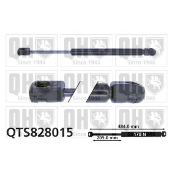 Vérin, capot-moteur QUINTON HAZELL QTS828015