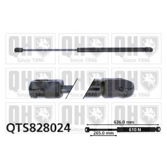 Vérin de hayon, de coffre QUINTON HAZELL QTS828024