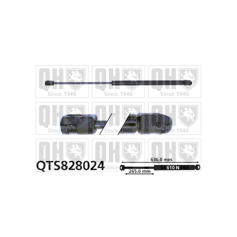 Vérin de hayon, de coffre QUINTON HAZELL QTS828024