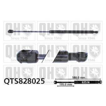 Vérin de hayon, de coffre QUINTON HAZELL QTS828025