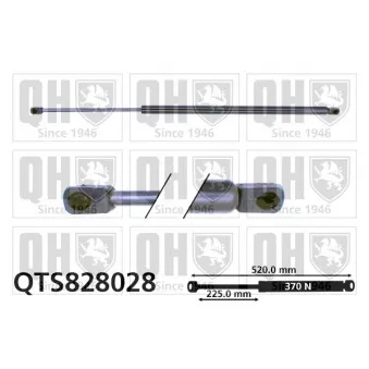 Vérin de hayon, de coffre QUINTON HAZELL QTS828028