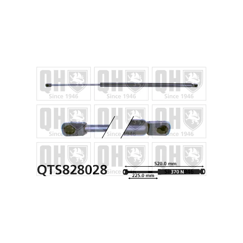 Vérin de hayon, de coffre QUINTON HAZELL QTS828028