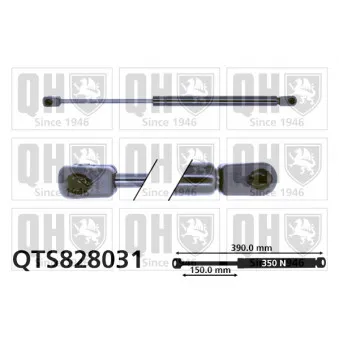 Vérin de hayon, de coffre QUINTON HAZELL QTS828031