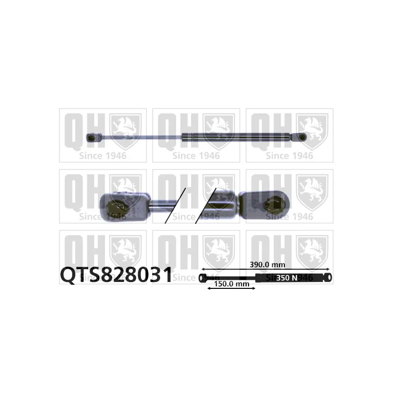 Vérin de hayon, de coffre QUINTON HAZELL QTS828031