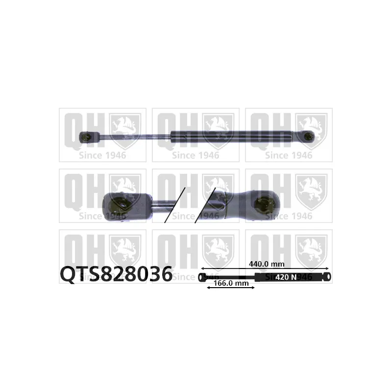 Vérin de hayon, de coffre QUINTON HAZELL QTS828036