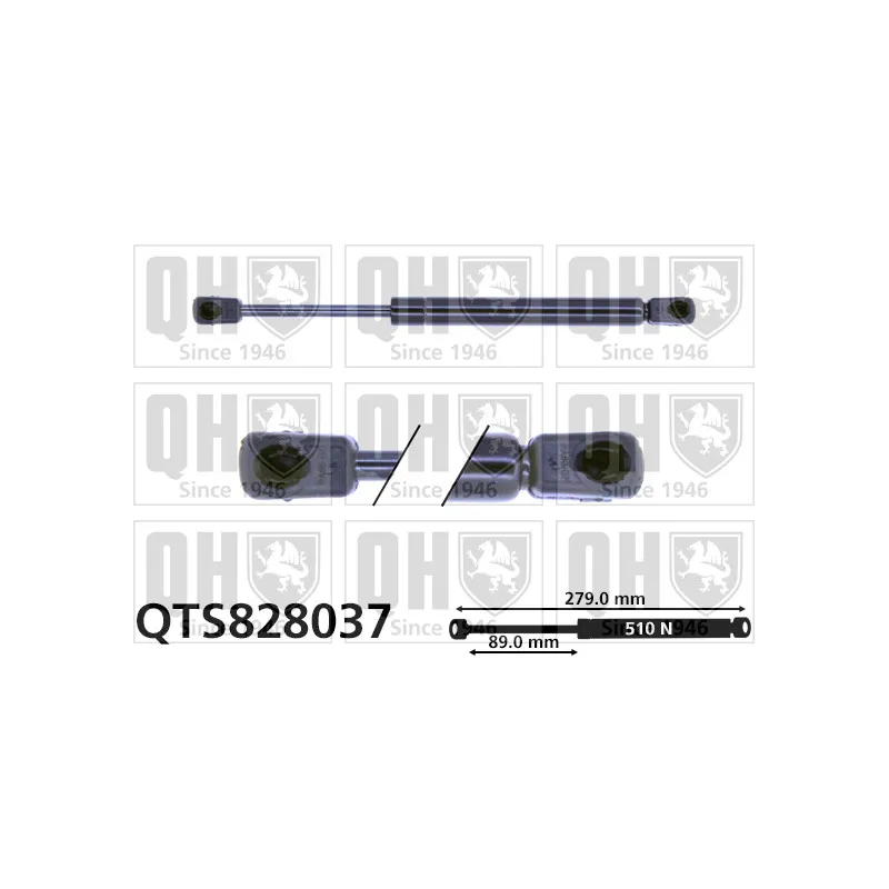 Vérin de hayon, de coffre QUINTON HAZELL QTS828037