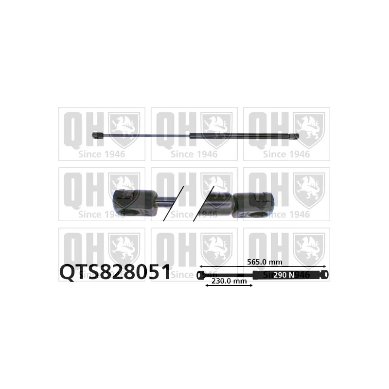 Vérin de hayon, de coffre QUINTON HAZELL QTS828051