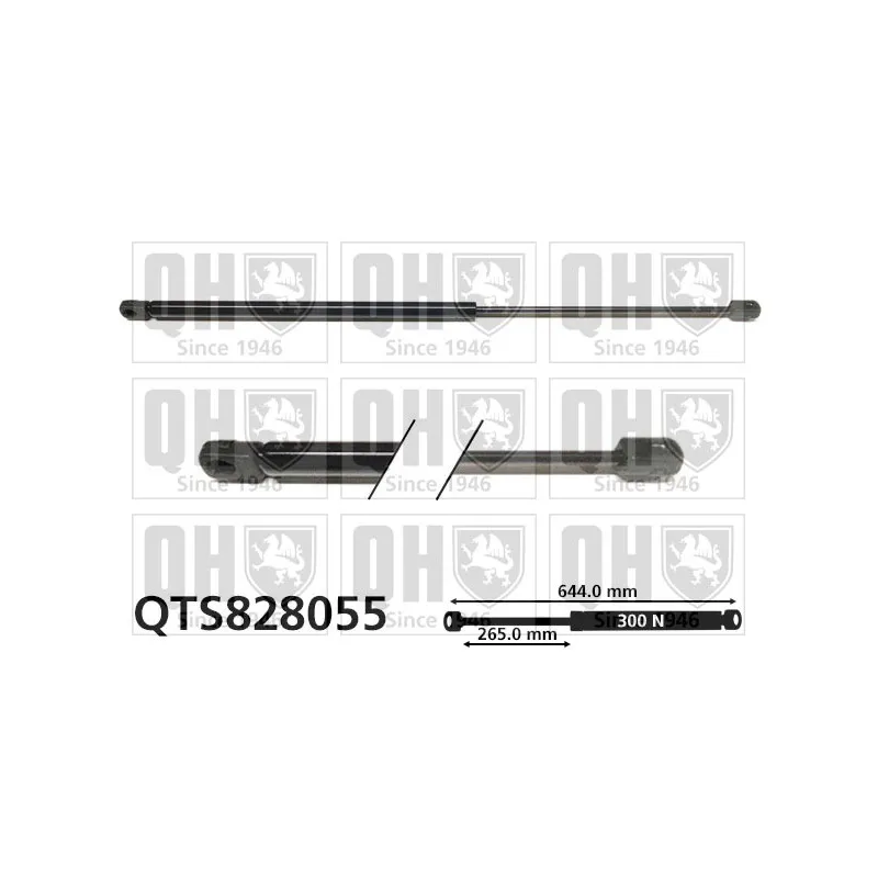Vérin de hayon, de coffre QUINTON HAZELL QTS828055