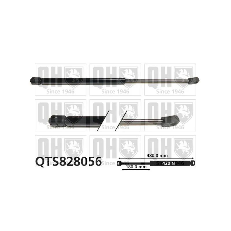 Vérin de hayon, de coffre QUINTON HAZELL QTS828056