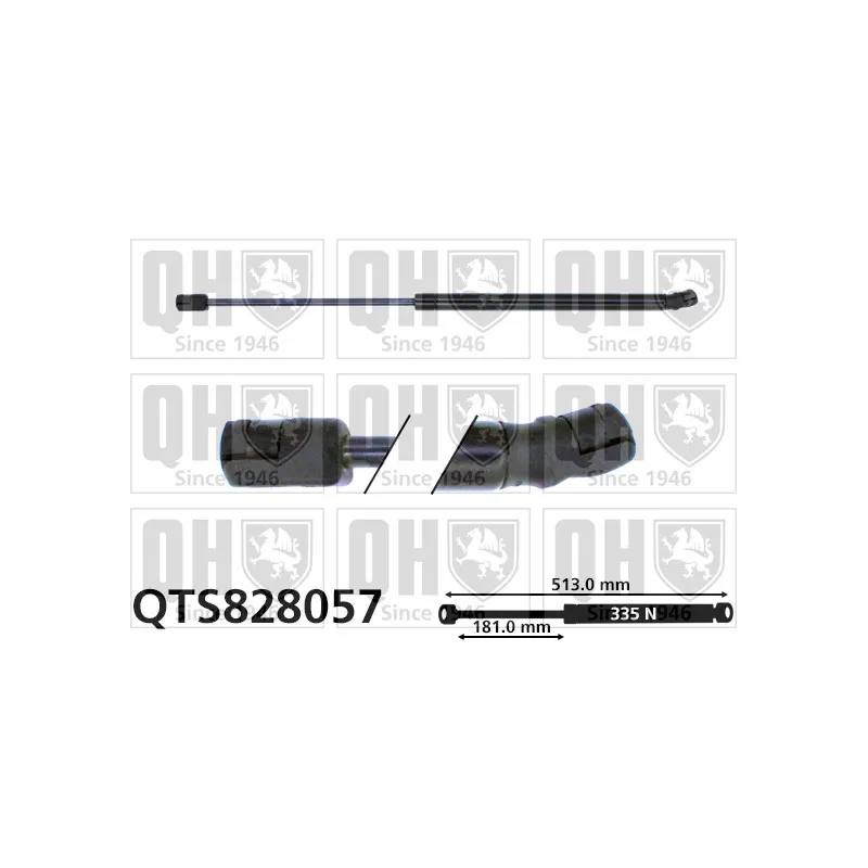 Vérin de hayon, de coffre QUINTON HAZELL QTS828057