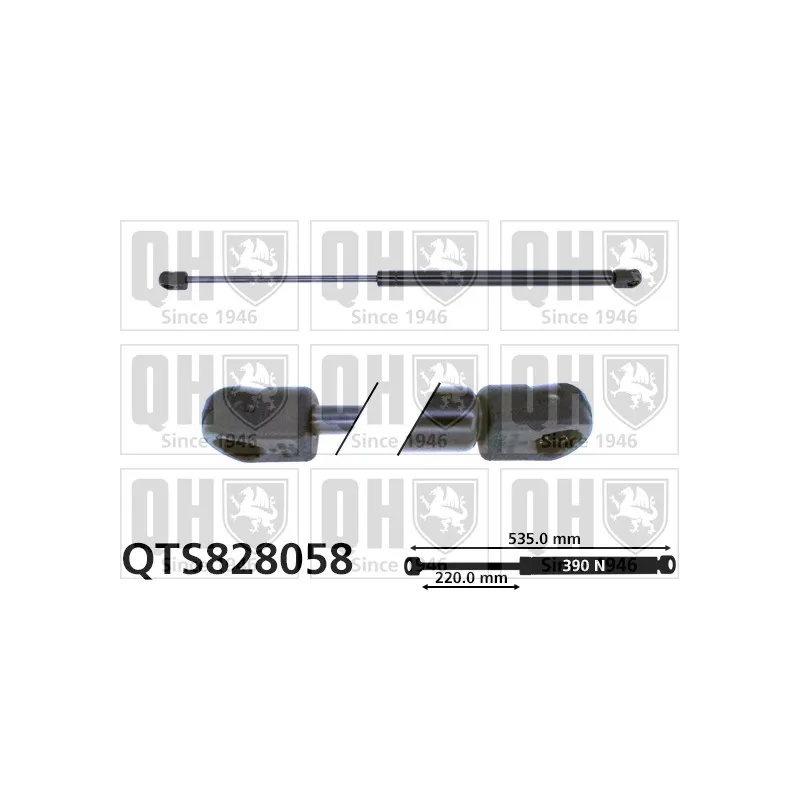 Vérin de hayon, de coffre QUINTON HAZELL QTS828058