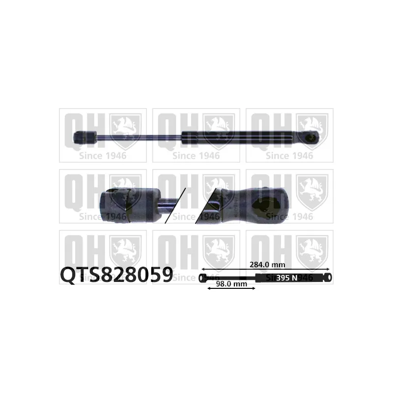 Vérin de hayon, de coffre QUINTON HAZELL QTS828059