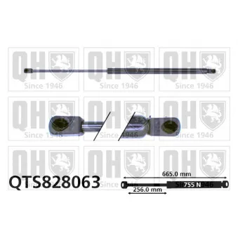 Vérin de hayon, de coffre QUINTON HAZELL QTS828063