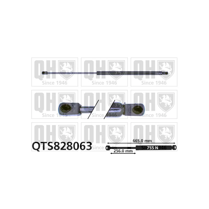 Vérin de hayon, de coffre QUINTON HAZELL QTS828063