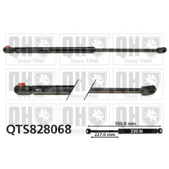 Vérin, capot-moteur QUINTON HAZELL QTS828068
