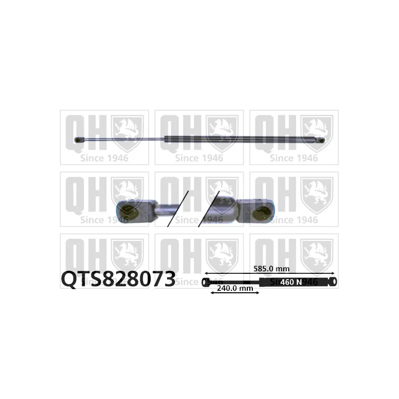 Vérin de hayon, de coffre QUINTON HAZELL QTS828073