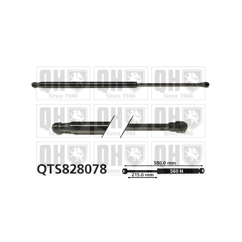 Vérin de hayon, de coffre QUINTON HAZELL QTS828078