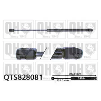 Vérin de hayon, de coffre QUINTON HAZELL QTS828081