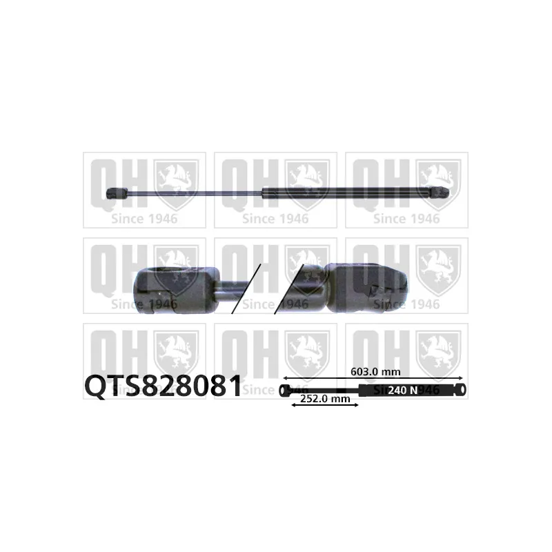 Vérin de hayon, de coffre QUINTON HAZELL QTS828081