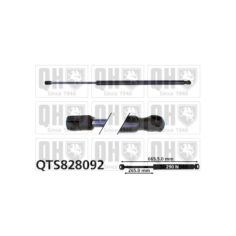 Vérin de hayon, de coffre QUINTON HAZELL QTS828092