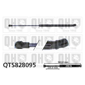 Vérin de hayon, de coffre QUINTON HAZELL QTS828095