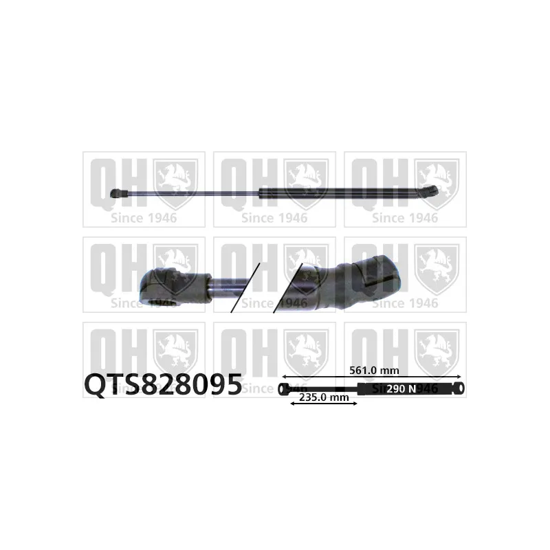 Vérin de hayon, de coffre QUINTON HAZELL QTS828095