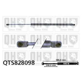 Vérin de hayon, de coffre QUINTON HAZELL QTS828098