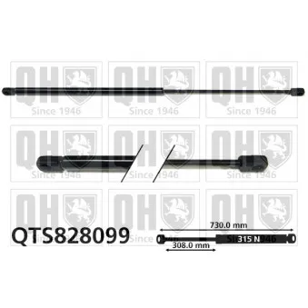 Vérin, capot-moteur QUINTON HAZELL QTS828099