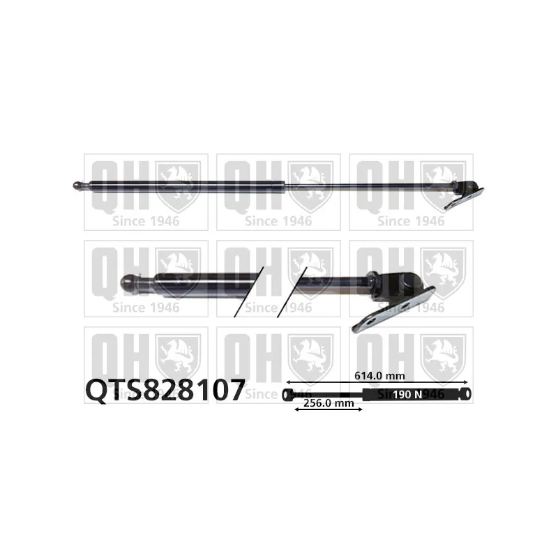 Vérin de hayon, de coffre QUINTON HAZELL QTS828107