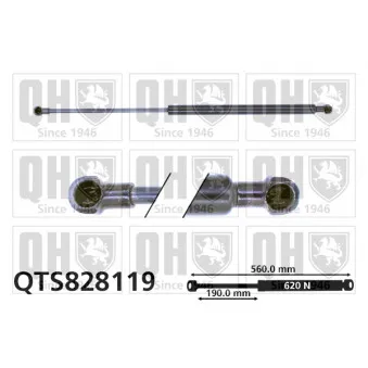 Vérin de hayon, de coffre QUINTON HAZELL QTS828119