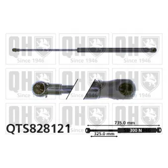 Vérin, capot-moteur QUINTON HAZELL QTS828121