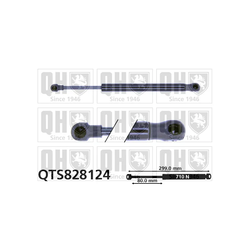 Vérin de hayon, de coffre QUINTON HAZELL QTS828124