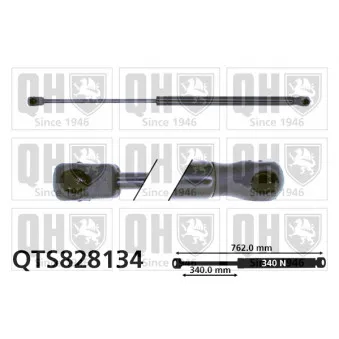 Vérin, capot-moteur QUINTON HAZELL QTS828134