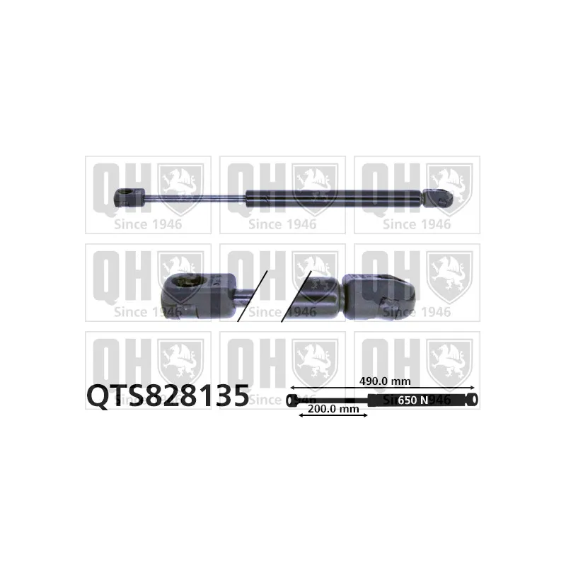 Vérin de hayon, de coffre QUINTON HAZELL QTS828135