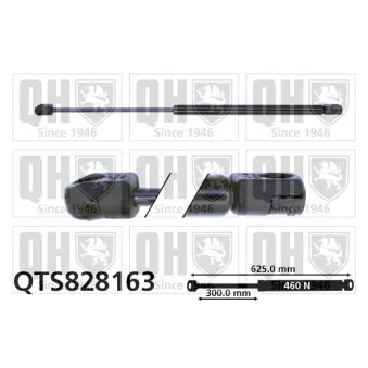 Vérin de hayon, de coffre QUINTON HAZELL QTS828163
