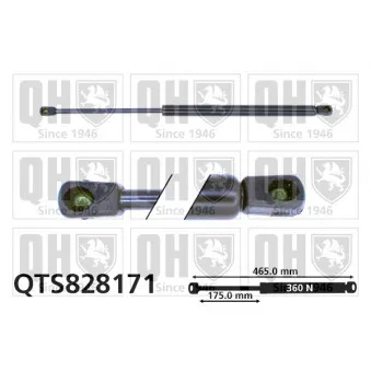 Vérin de hayon, de coffre QUINTON HAZELL QTS828171