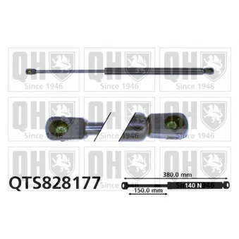 Vérin, vitre arrière QUINTON HAZELL QTS828177