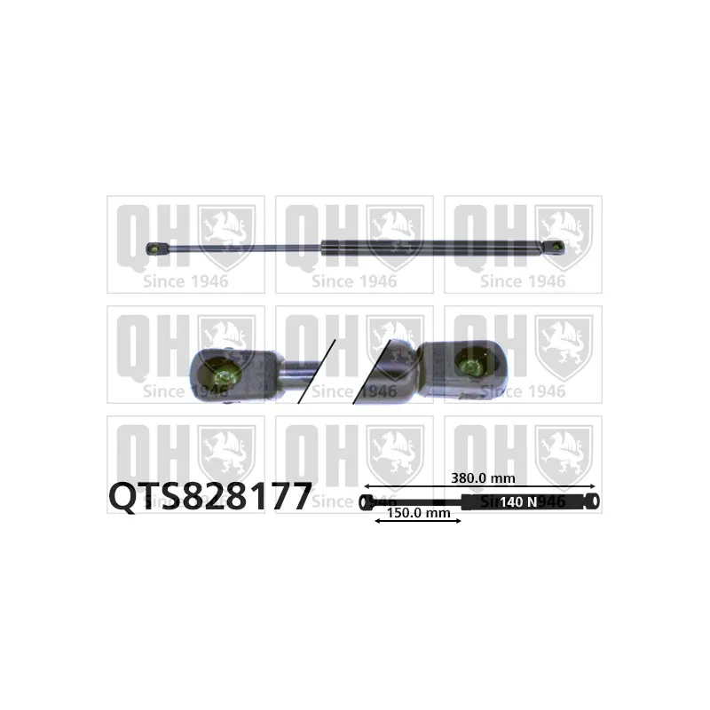 Vérin, vitre arrière QUINTON HAZELL QTS828177