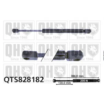 Vérin, vitre arrière QUINTON HAZELL QTS828182
